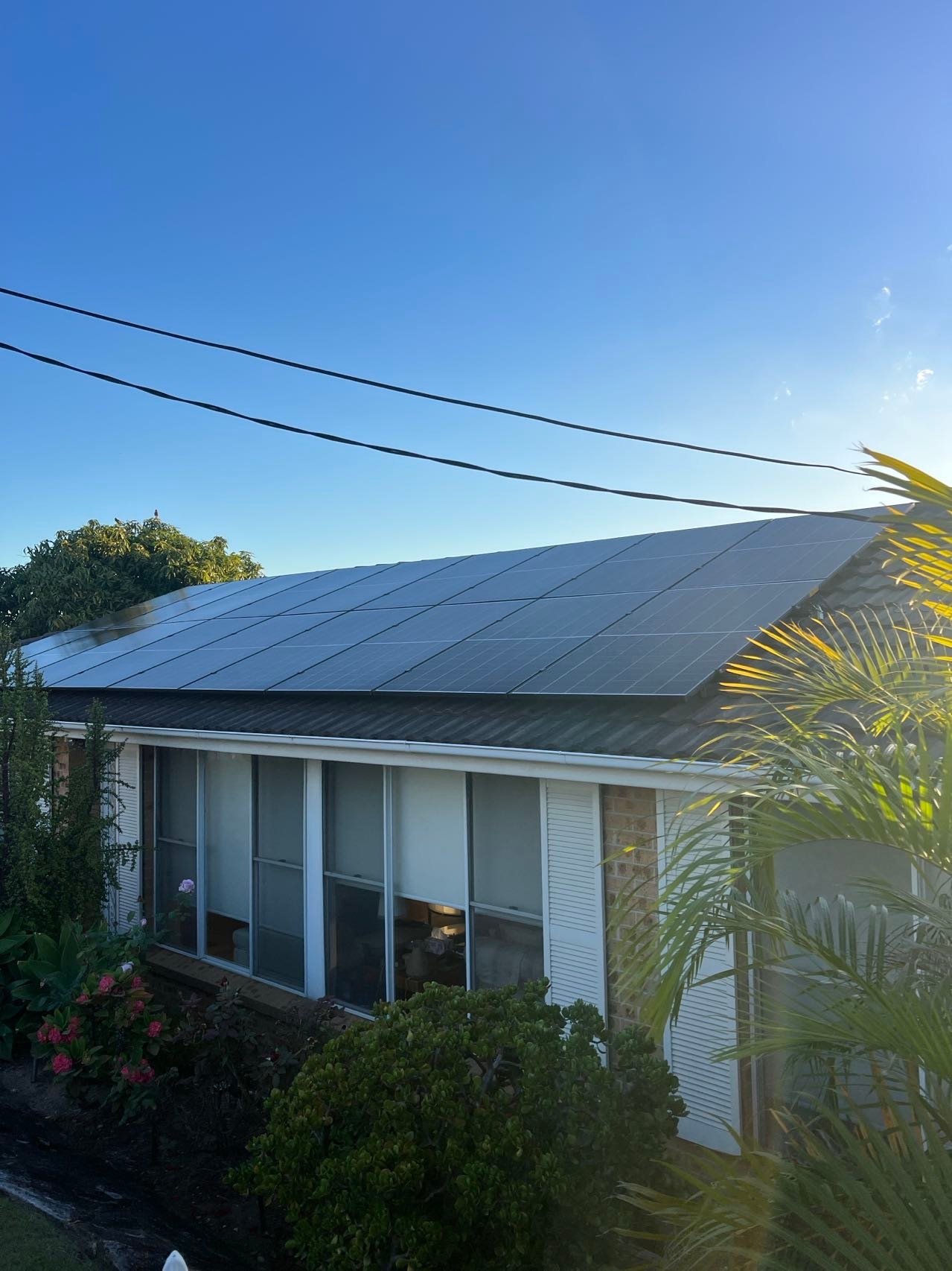 1778048785650