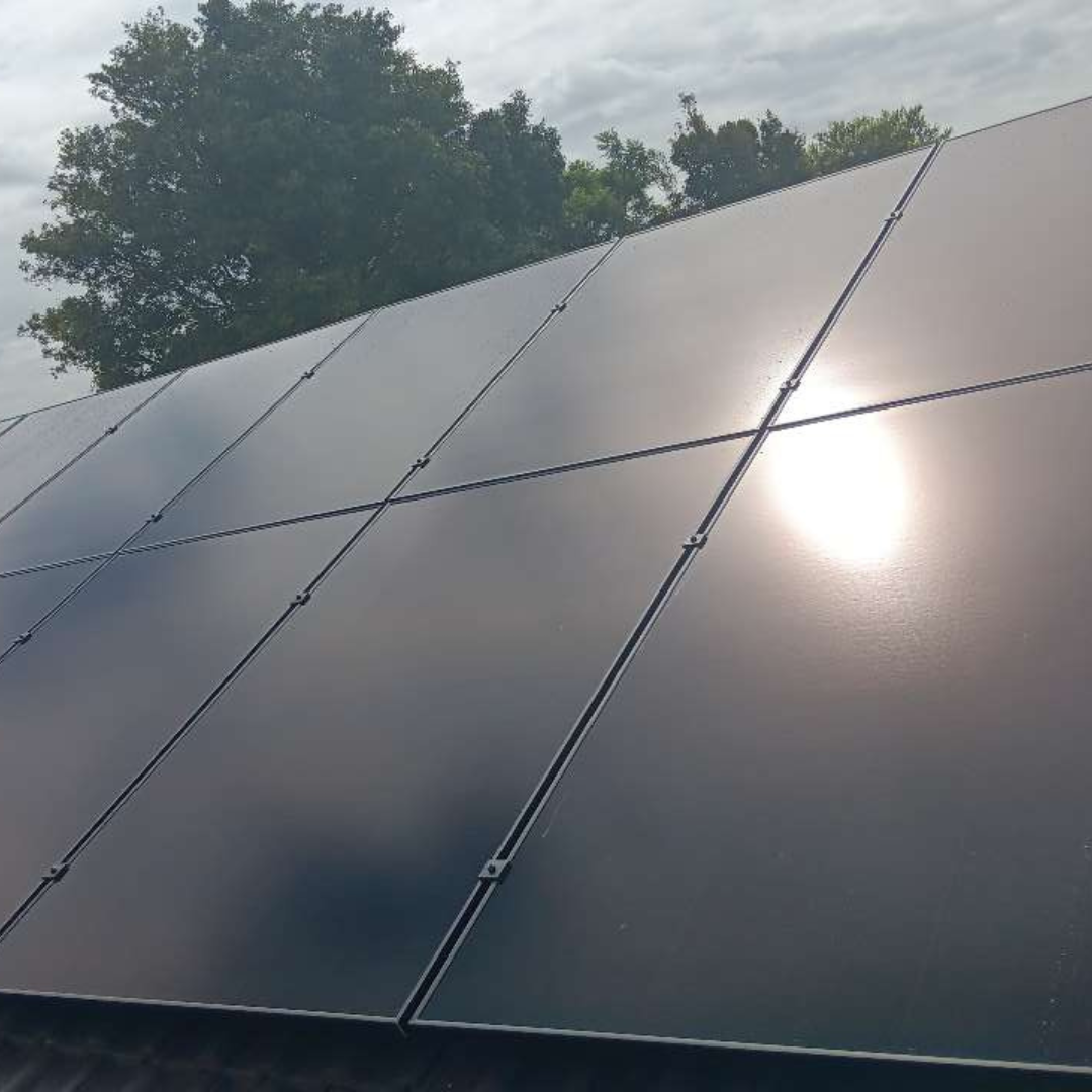 Ruse, Sydney, NSW - Michael Duckett (6)