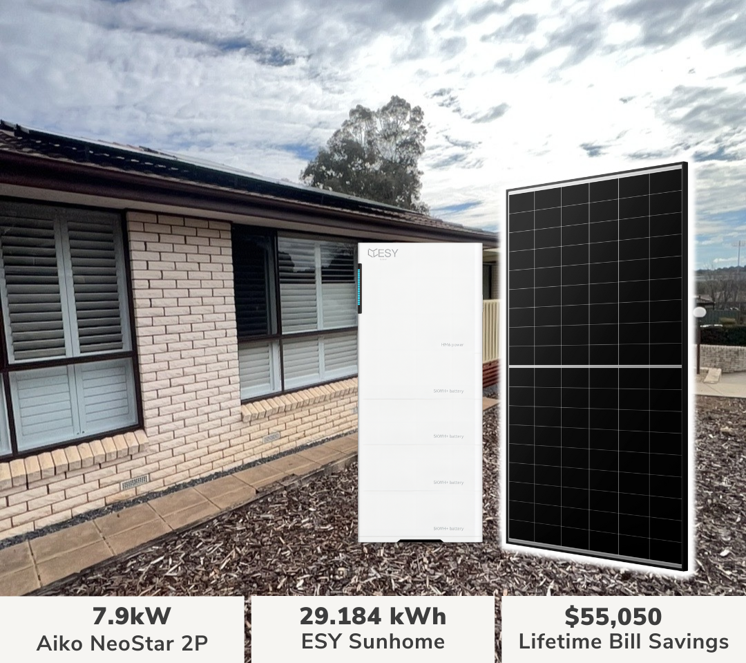 Saint Clair, NSW - Kim Oakes-1