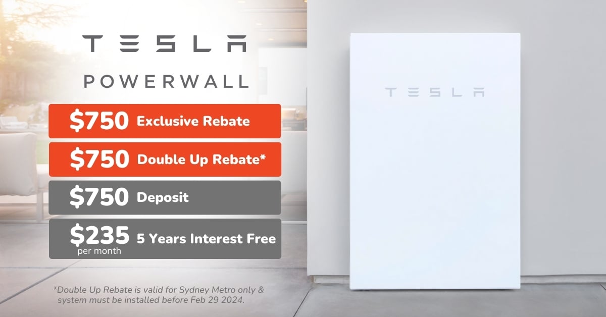 Tesla 2024 Offer